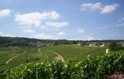 La Route des Vins | 09 au 26 octobre 2027 (18 jours)