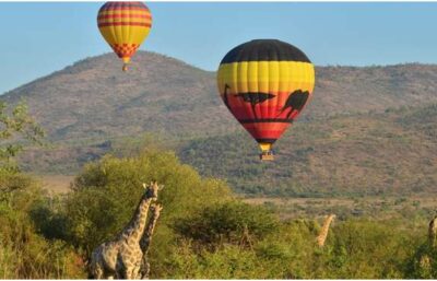 Afrique du Sud : KRUGER - Eswatini (Swaziland) - SUN CITY  11 jours |  Vacances Scolaires 2026