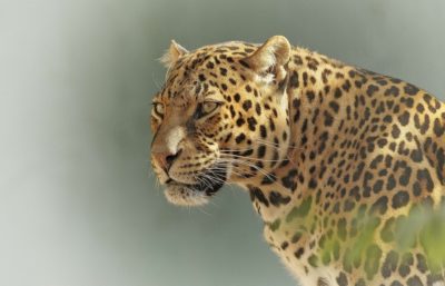 Afrique du Sud : KRUGER -  SUN CITY  9 jours | Vacances Scolaires 2026