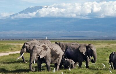 Kenya & Tanzanie | 15 au 25 juillet 2027 (11 jours)