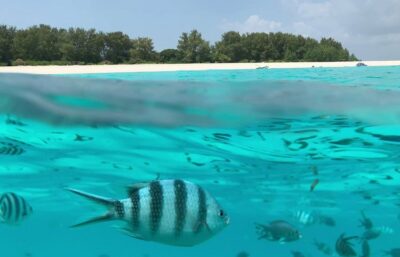 Zanzibar | 17 au 25 juillet 2027 (9 jours)